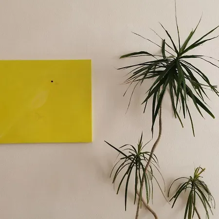 Solebianco Apartment Alghero