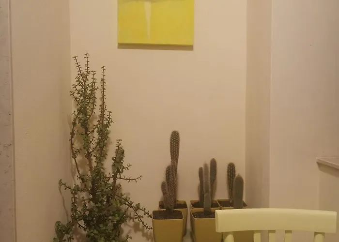 Apartament Solebianco *